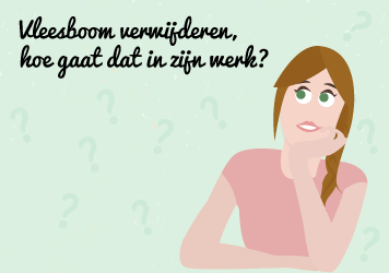 Vleesboom in de baarmoeder verwijderen, hoe gaat dat in zijn werk?