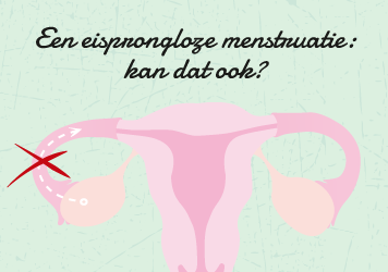 Menstruatie zonder ovulatie: kan dat?